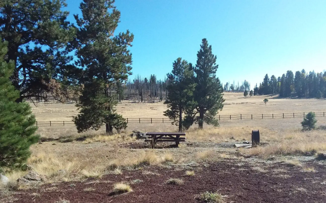 Winn Campground