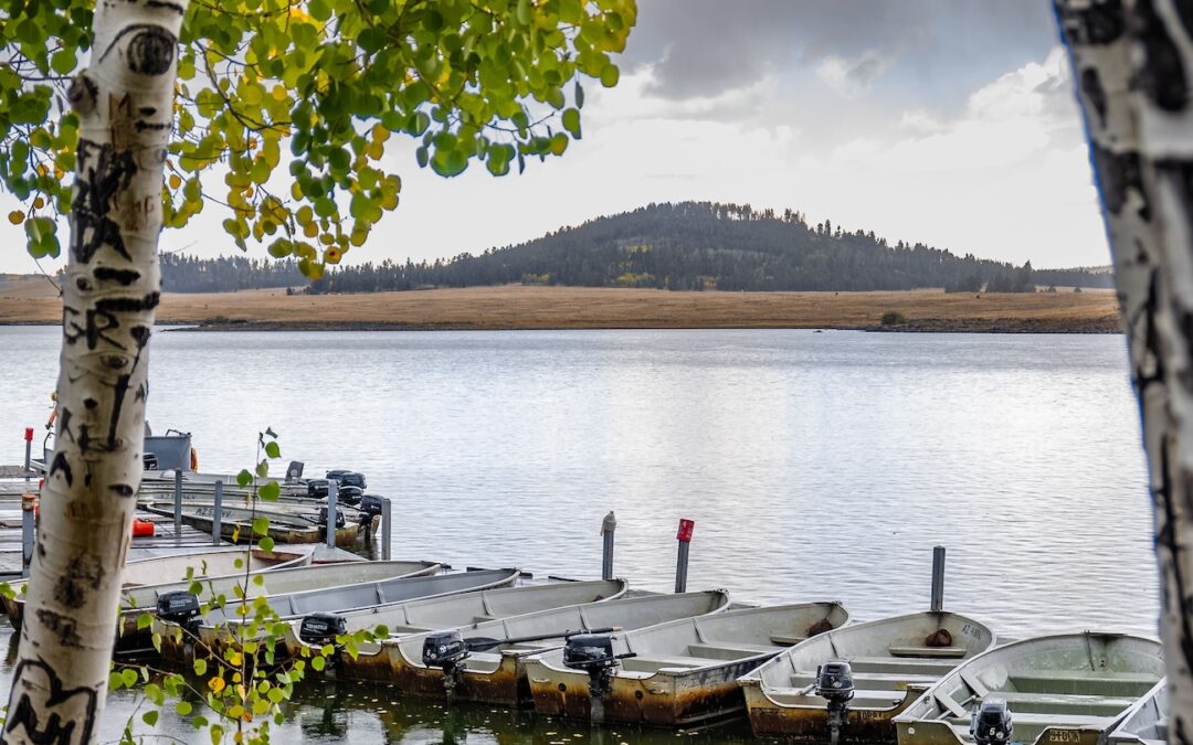 Grayling Campground