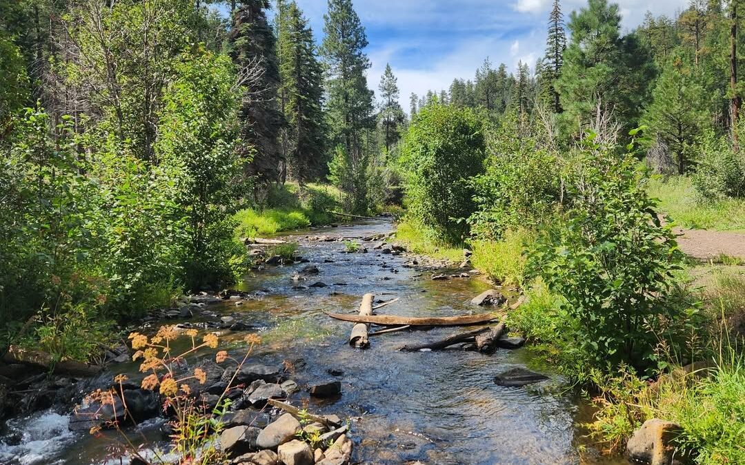 East Fork of the White River