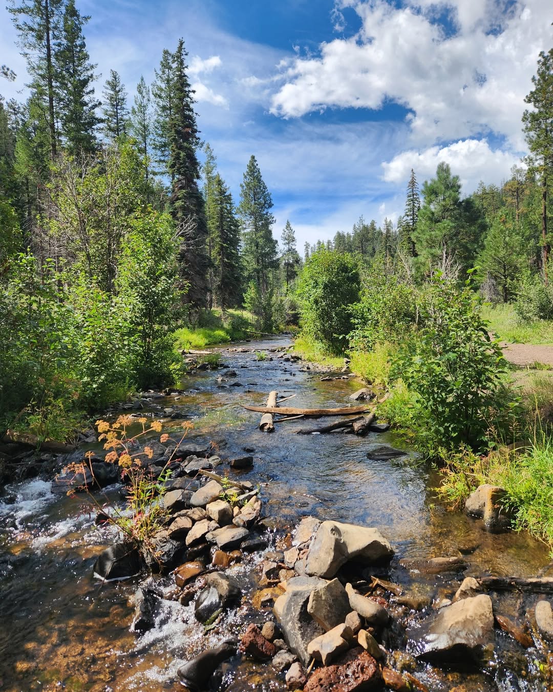 East Fork of the White River Arizona