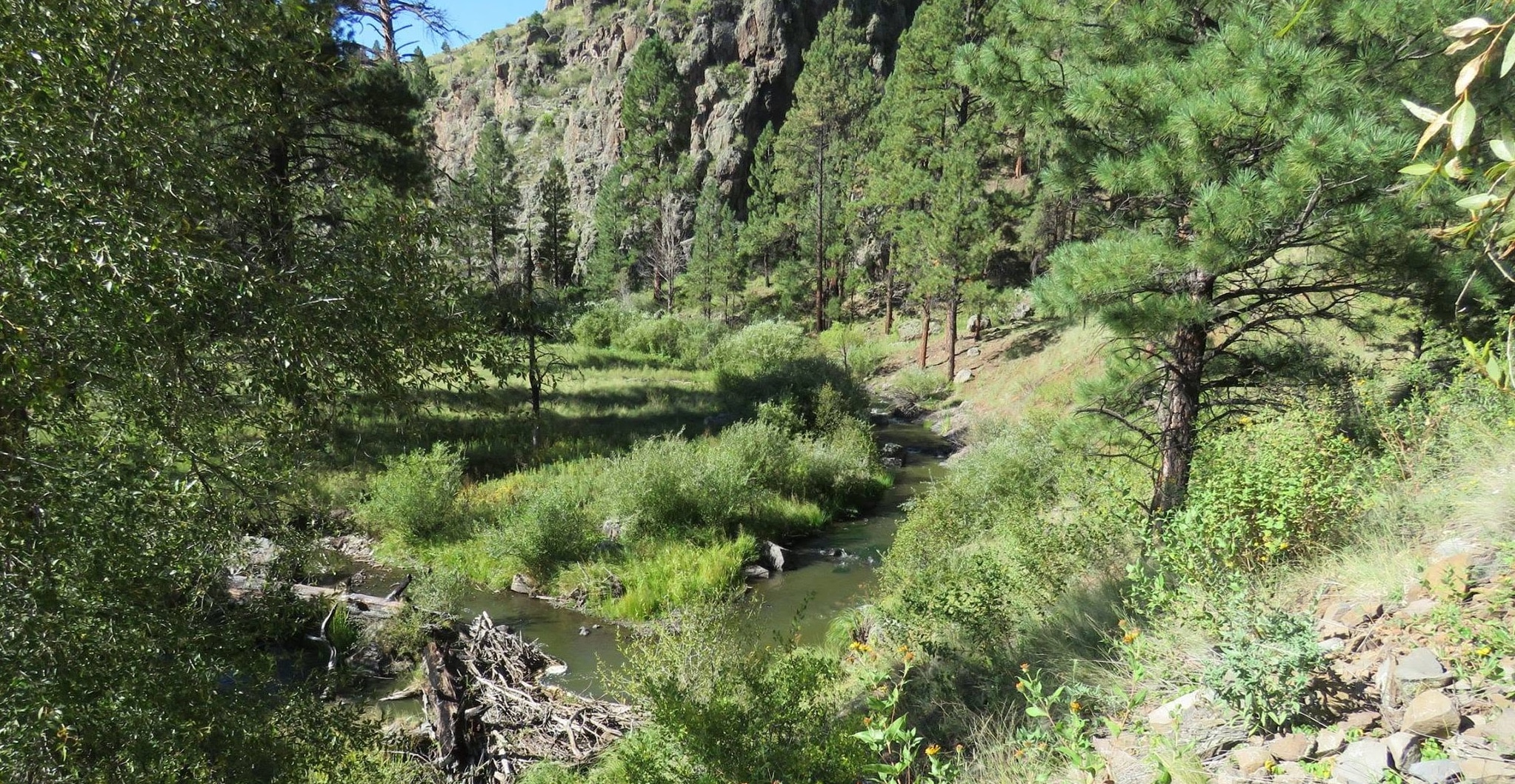 Hall Creek - Arizona