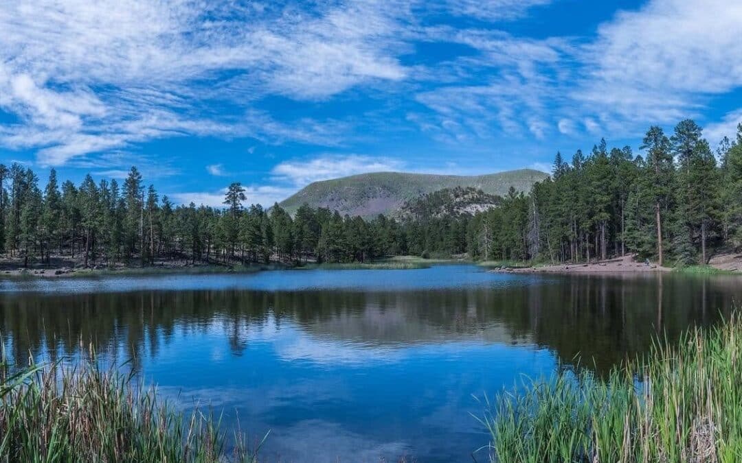 Hulsey Lake