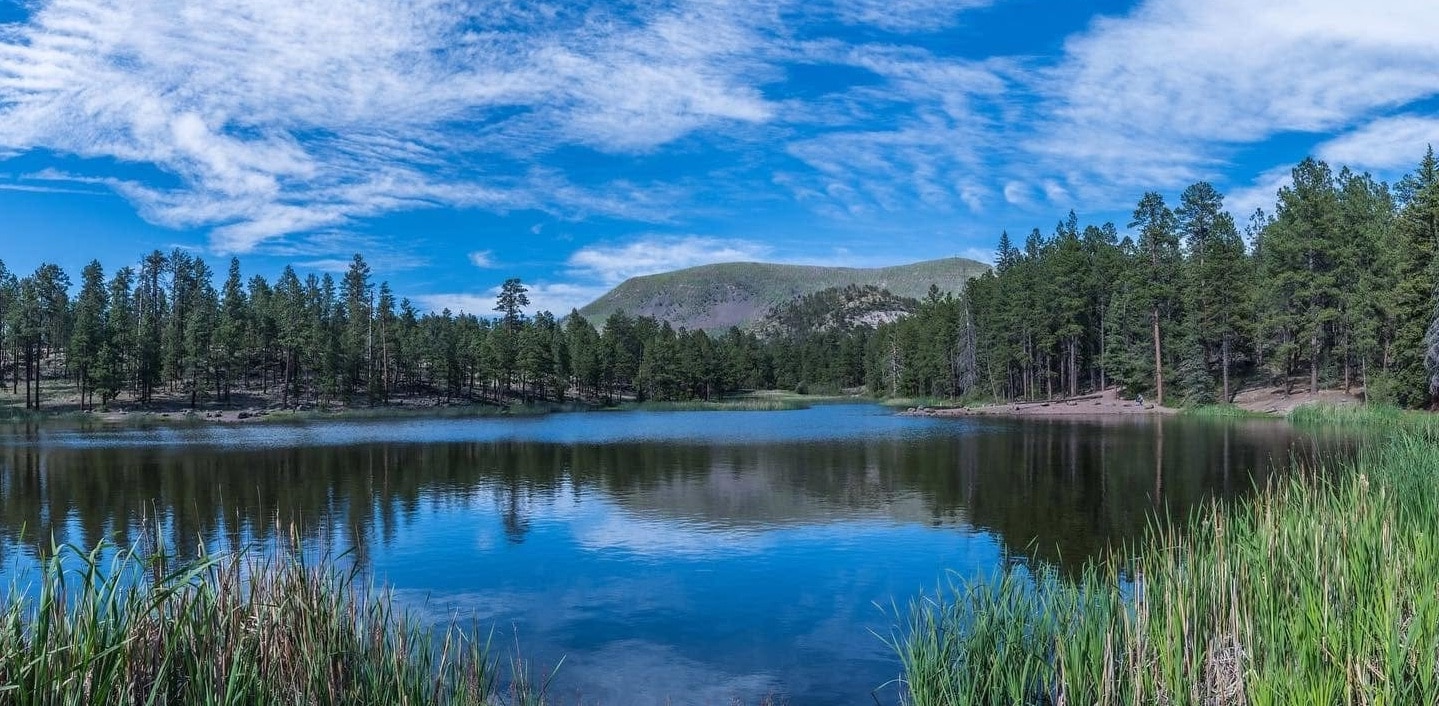 Hulsey Lake