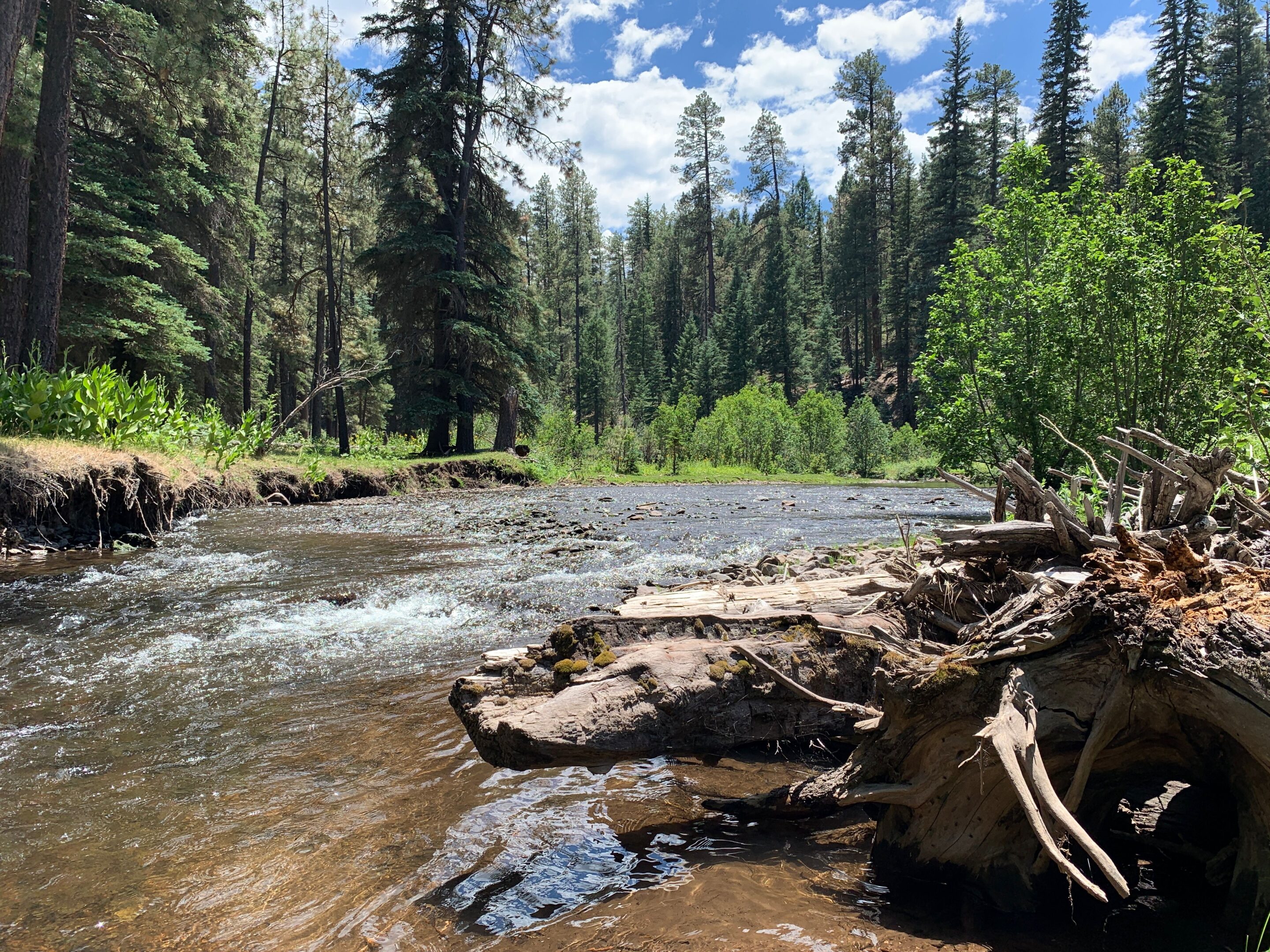 North Fork of the White River - Arizona
