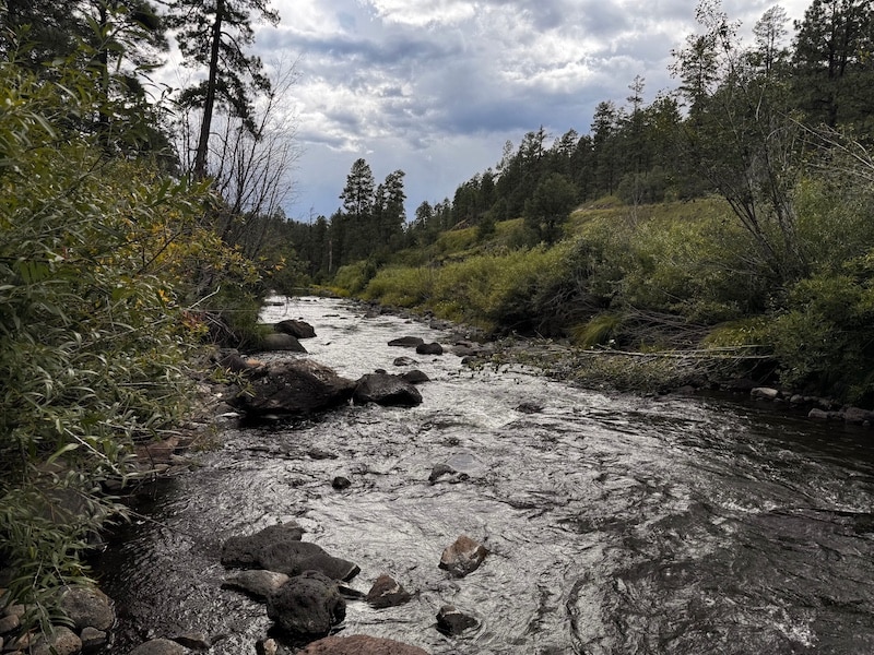 Rivers of the Arizona White Mountains