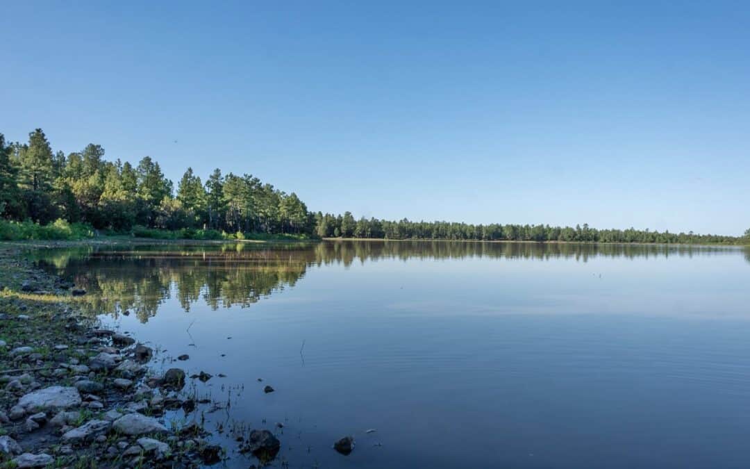 Scott Reservoir