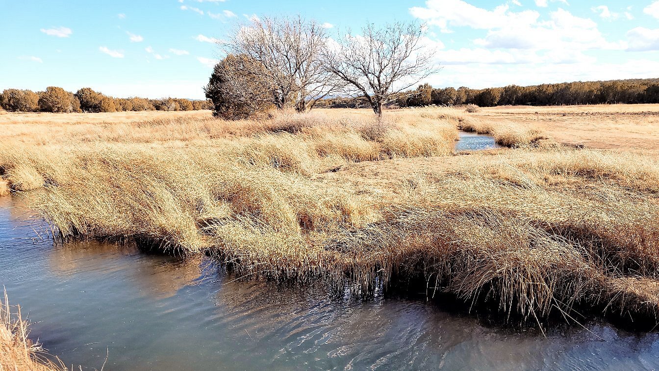 Silver Creek - Arizona